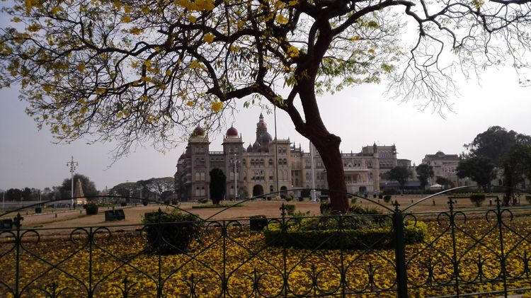 One Thousand and One Nights in Mysore